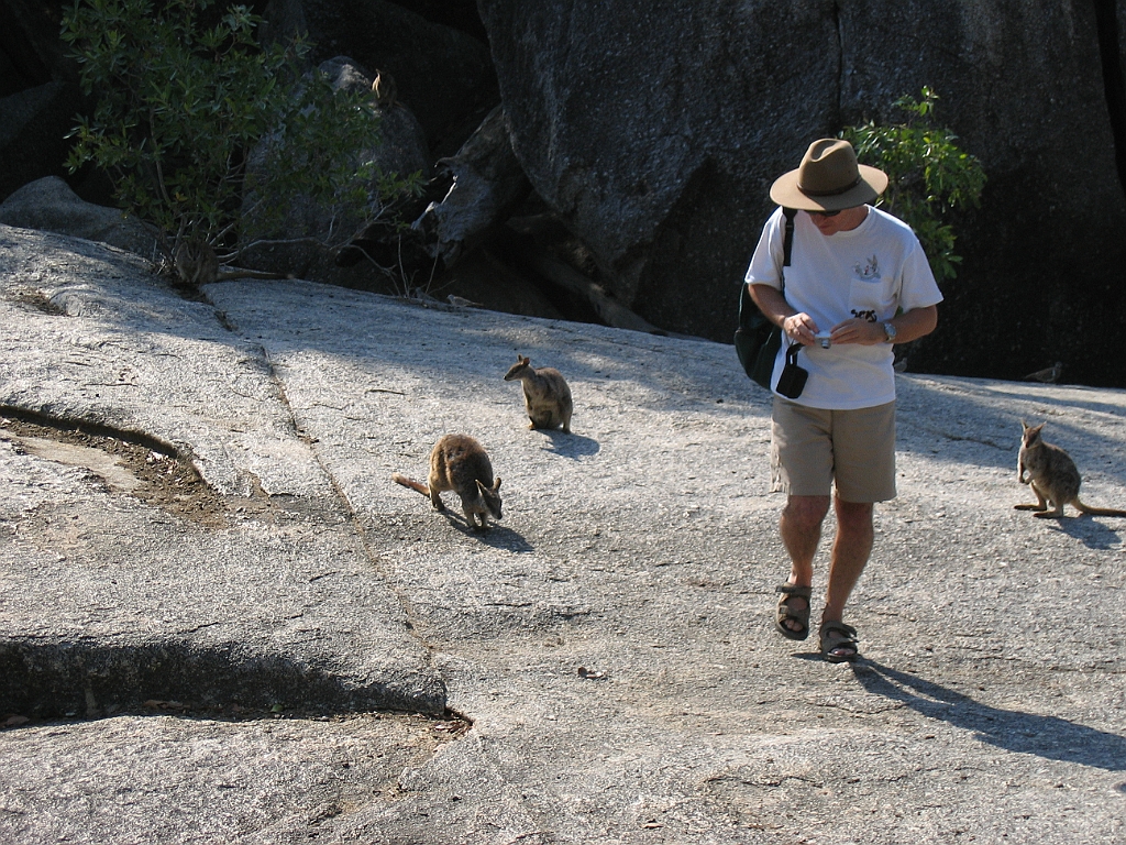 CairnsTC117 Granite Gorge.jpg